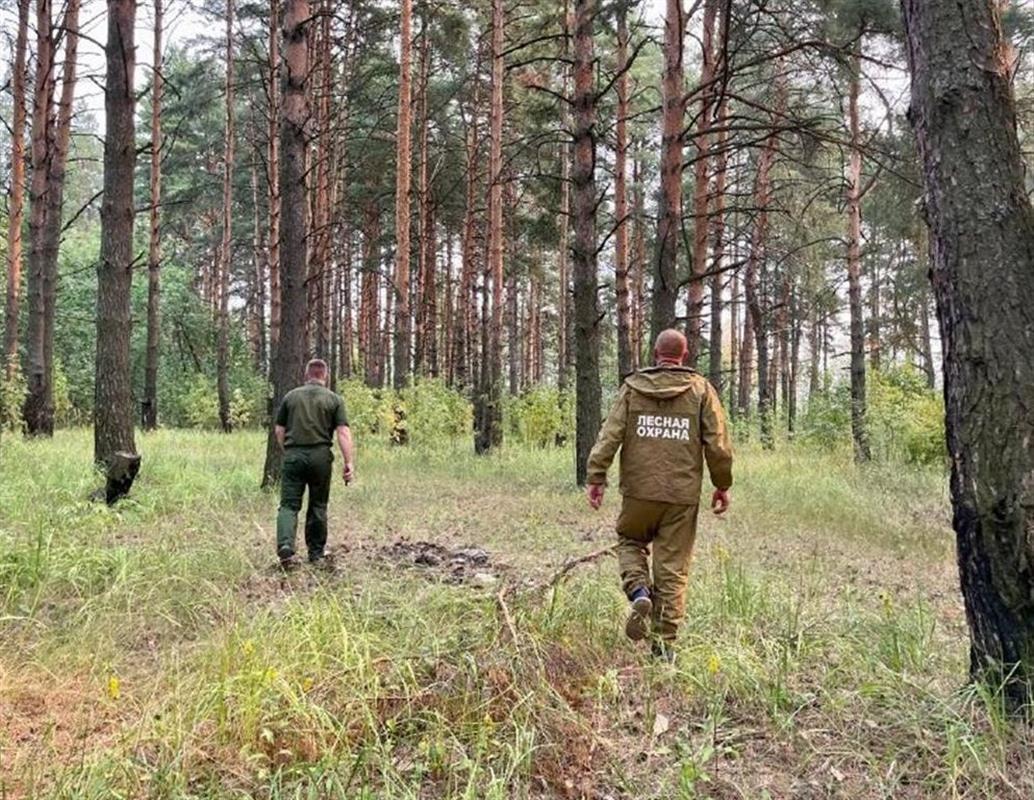 В Костромской области местами сохраняется высокий класс пожарной опасности