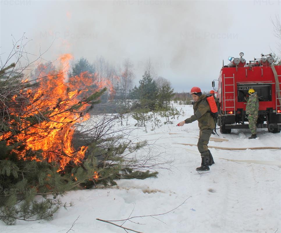 В Костромской области прошли учения по тушению лесного пожара
