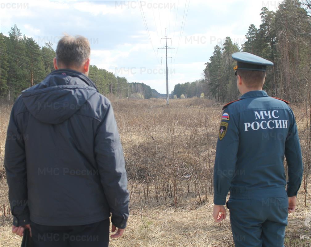 В Костромской области зарегистрировано 111 пожаров, связанных с палом травы