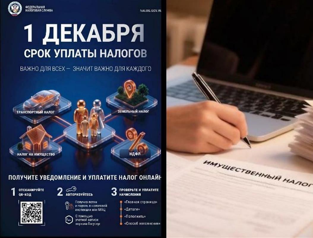Костромичам объяснили, где и как можно получить налоговое уведомление на бумаге