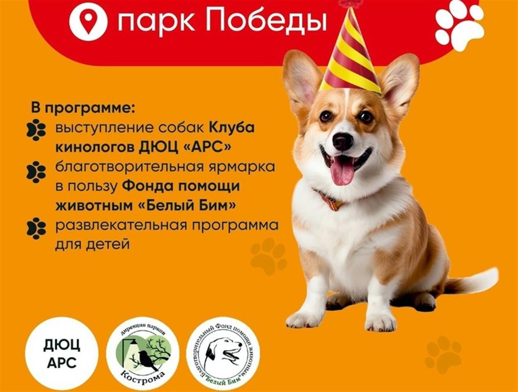 Завершить неделю ярко и интересно костромичей приглашают в городские парки
