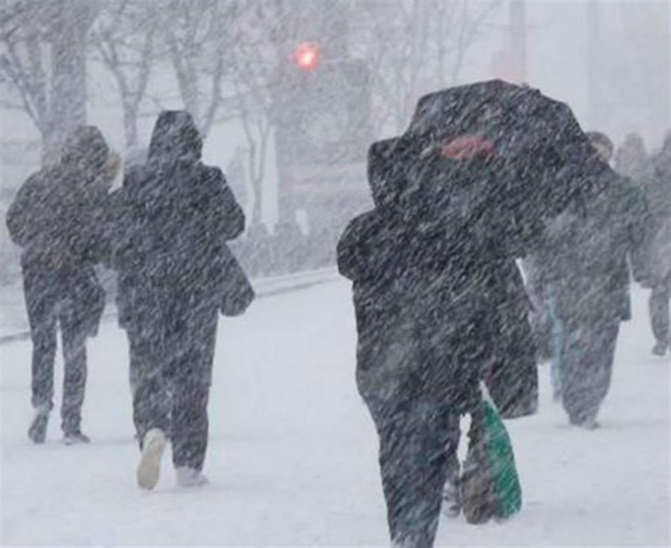 Погода портится: Кострому накроет сильный снегопад
