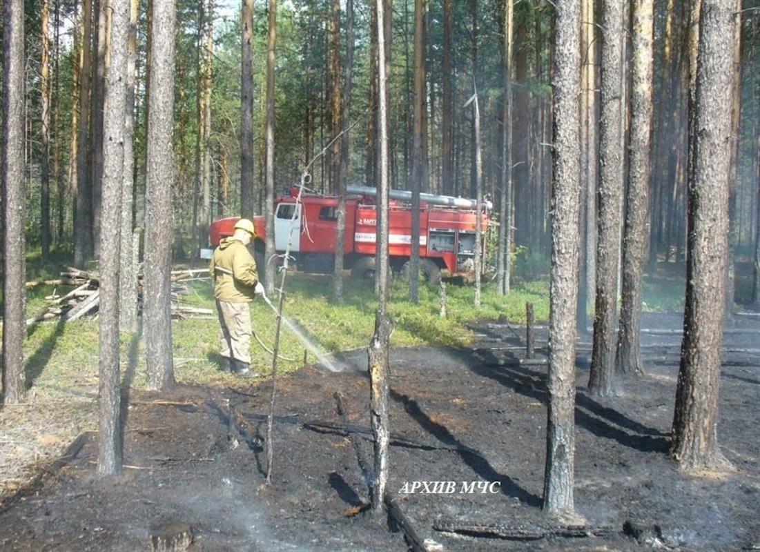 В Костромской области тушат сразу два лесных пожара
