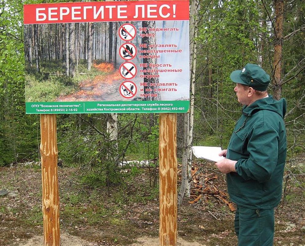 В ближайшие дни в Костромской области установится высокий класс пожарной опасности