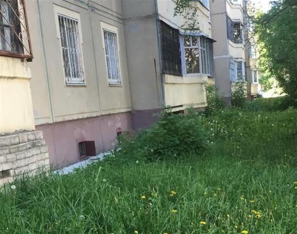 На костромских улицах ищут нескошенные заросли травы
