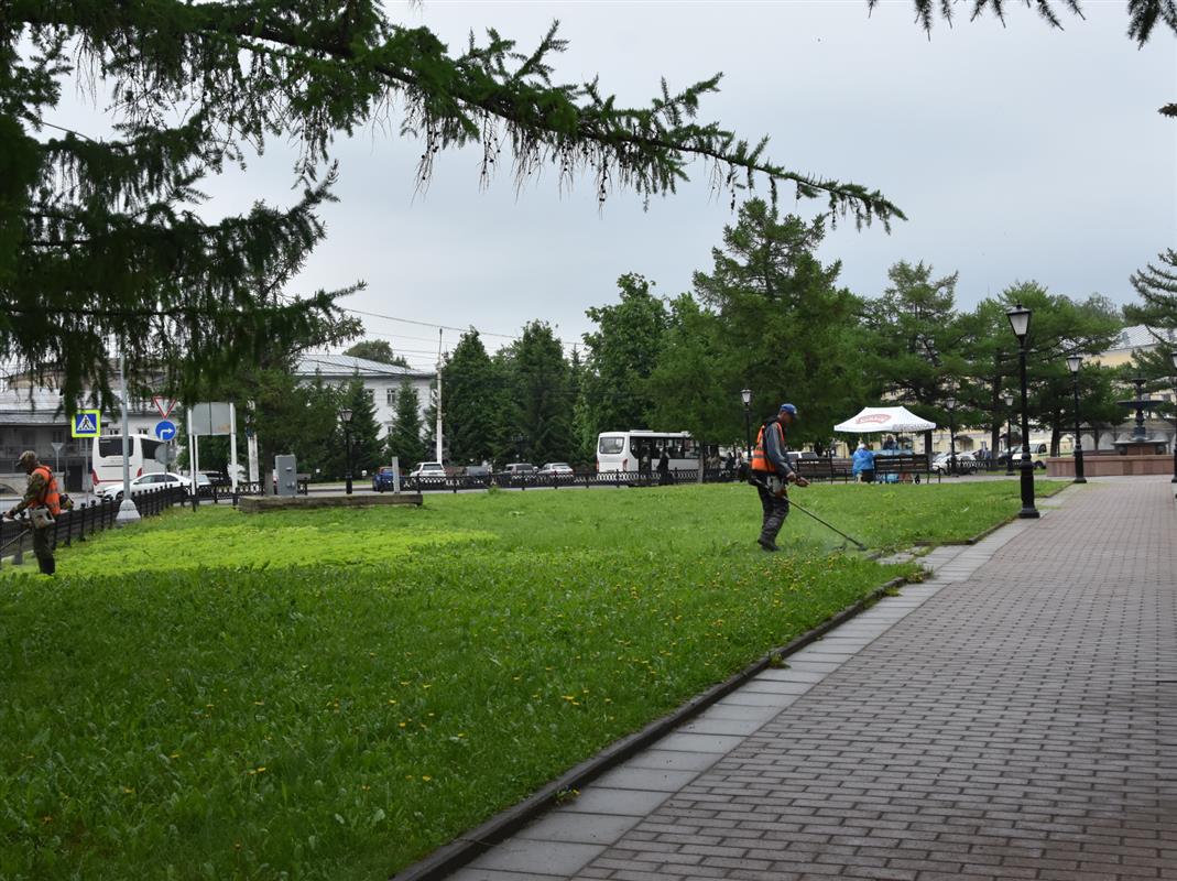В костромских парках и скверах проводятся окосы травы
