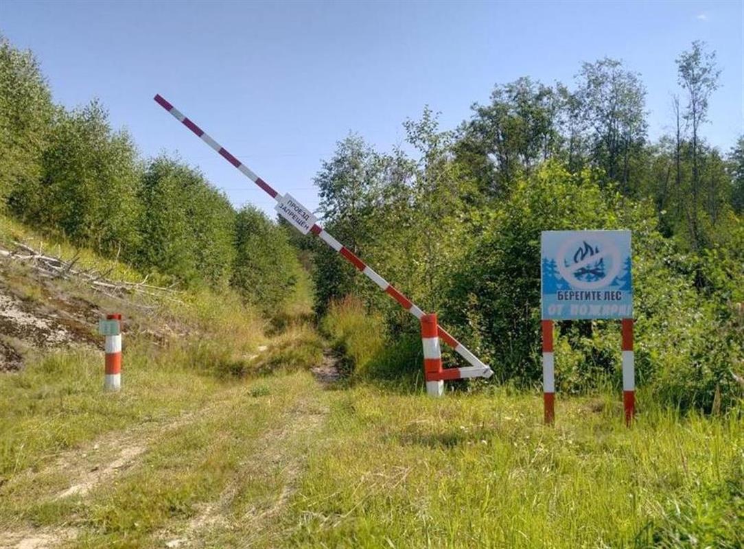 Из-за жары в Костромской области введён особый противопожарный режим