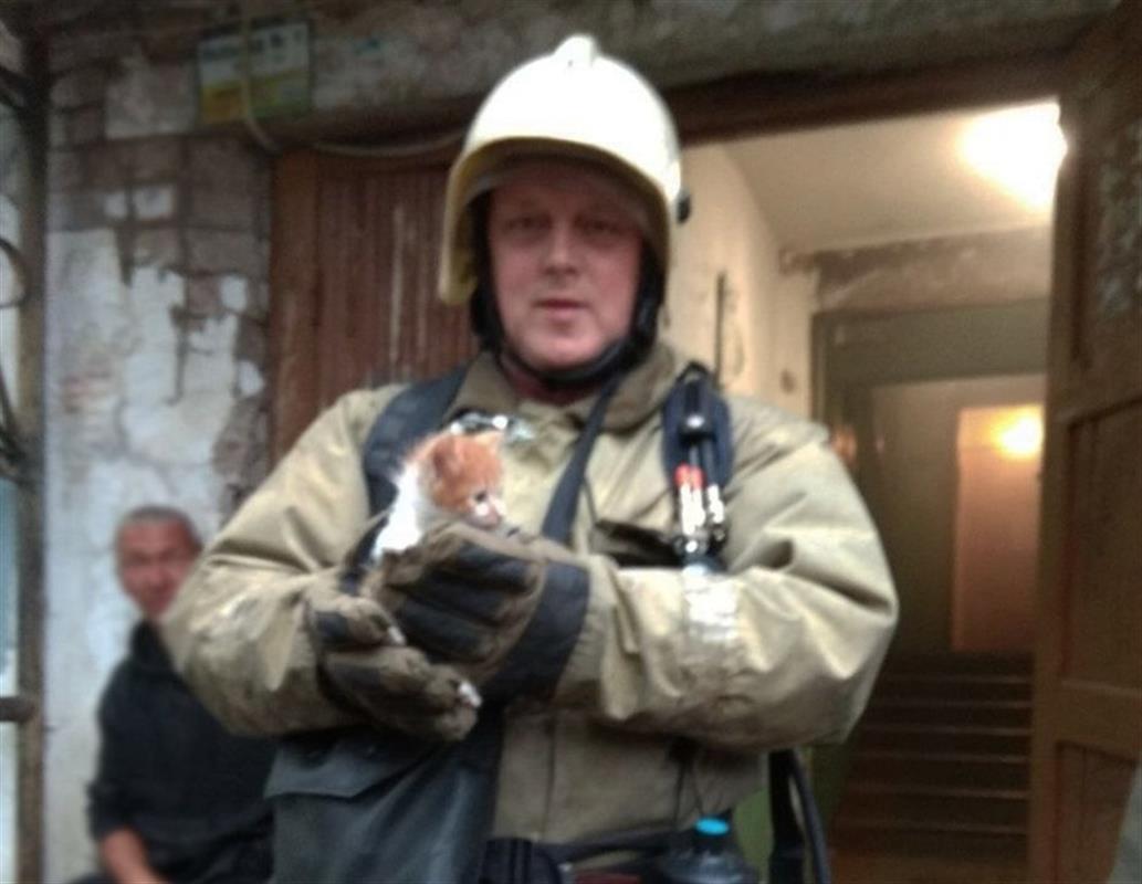 Костромские пожарные спасли из задымленной квартиры маленького котёнка