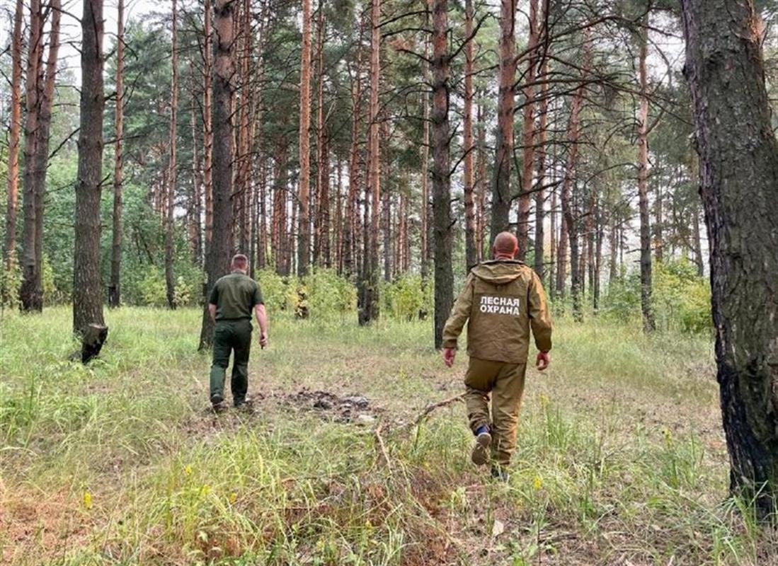 Особый противопожарный режим отменили в Костромской области 
