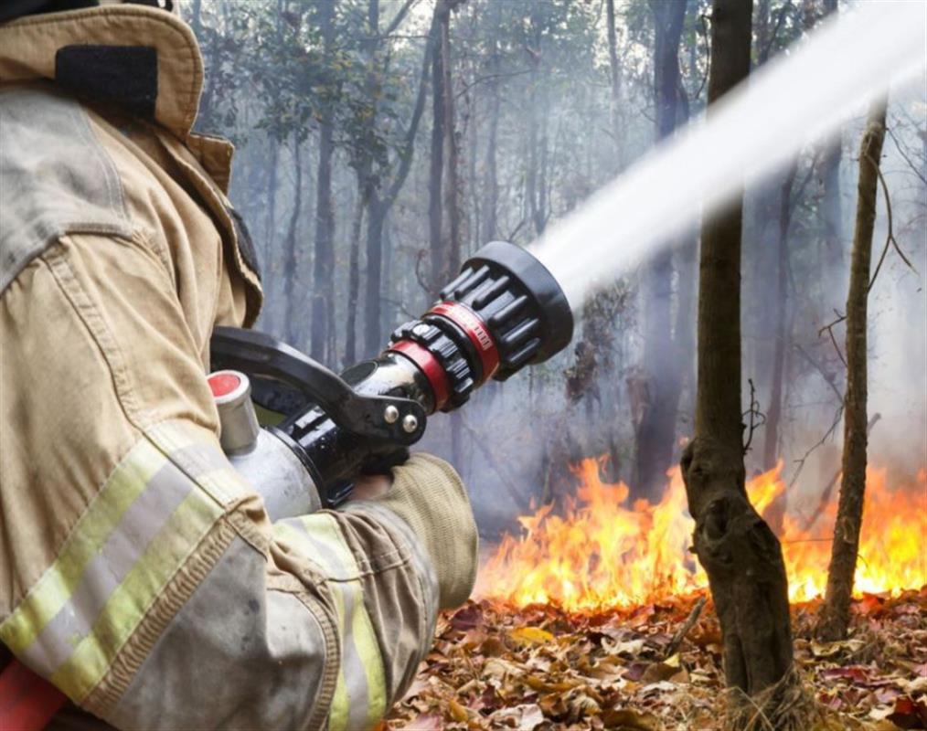 Костромичам напоминают о необходимости соблюдать правила пожарной безопасности 