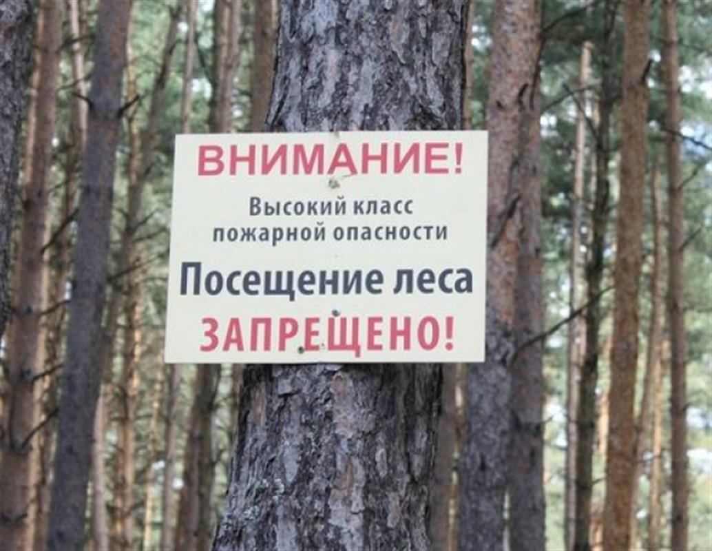 B Костромской области местами сохраняется высокий класс пожарной опасности