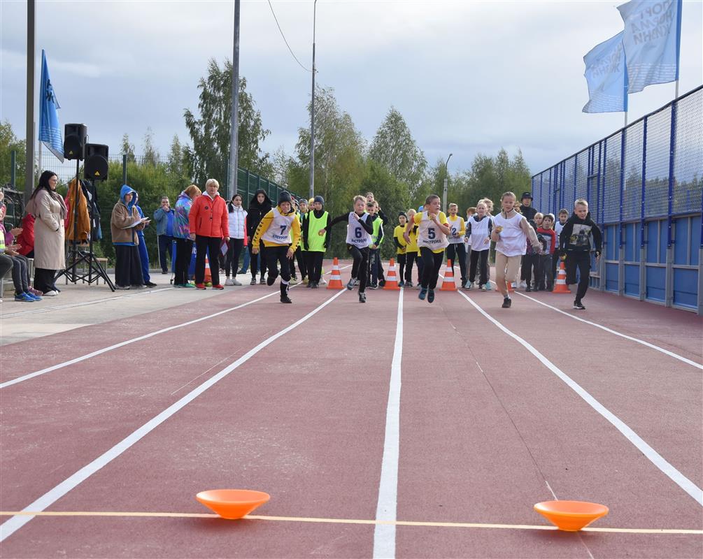 Новый физкультурно-оздоровительный комплекс в Костроме принял первые соревнования