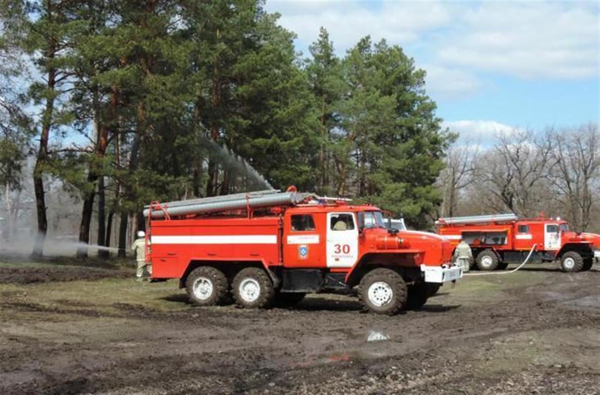 В костромских лесах ожидается повышенный уровень пожарной опасности