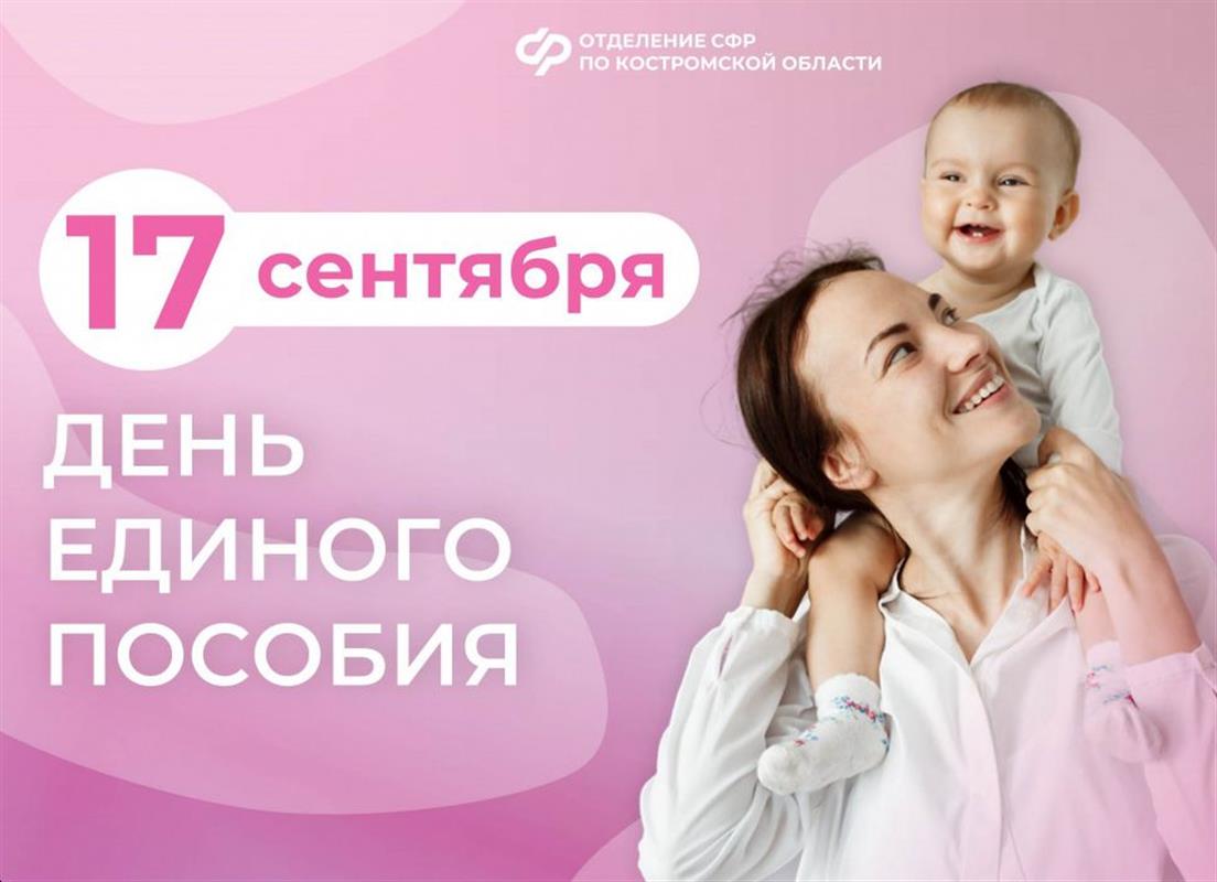 Всё про единое пособие на детей костромичи могут узнать на «горячей линии»