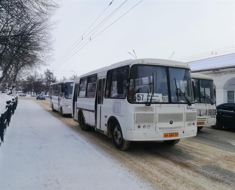За срывы расписания костромские перевозчики заплатят 3 миллиона рублей штрафов 