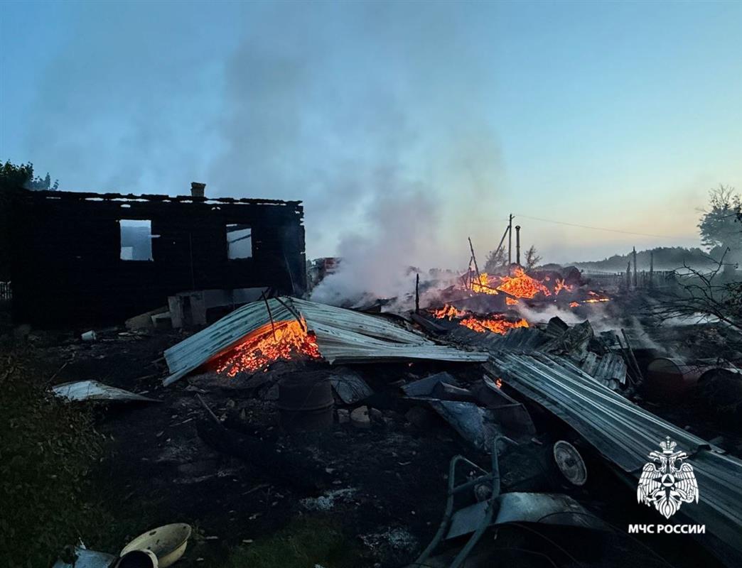 Жительница костромской деревни погибла во время пожара в частном доме
