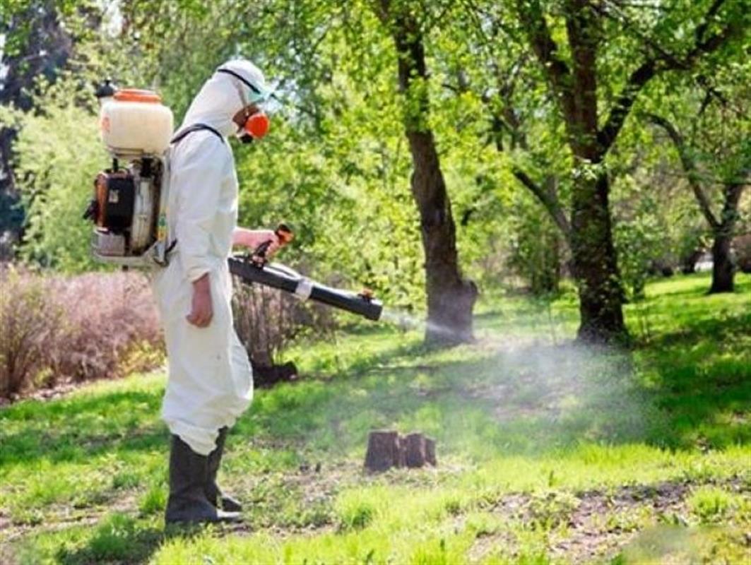 В Костроме началась подготовка к акарицидной обработке городских территорий