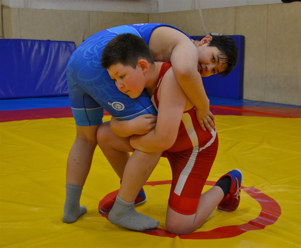 Юные спортсмены примут участие в турнире по вольной борьбе в Костроме