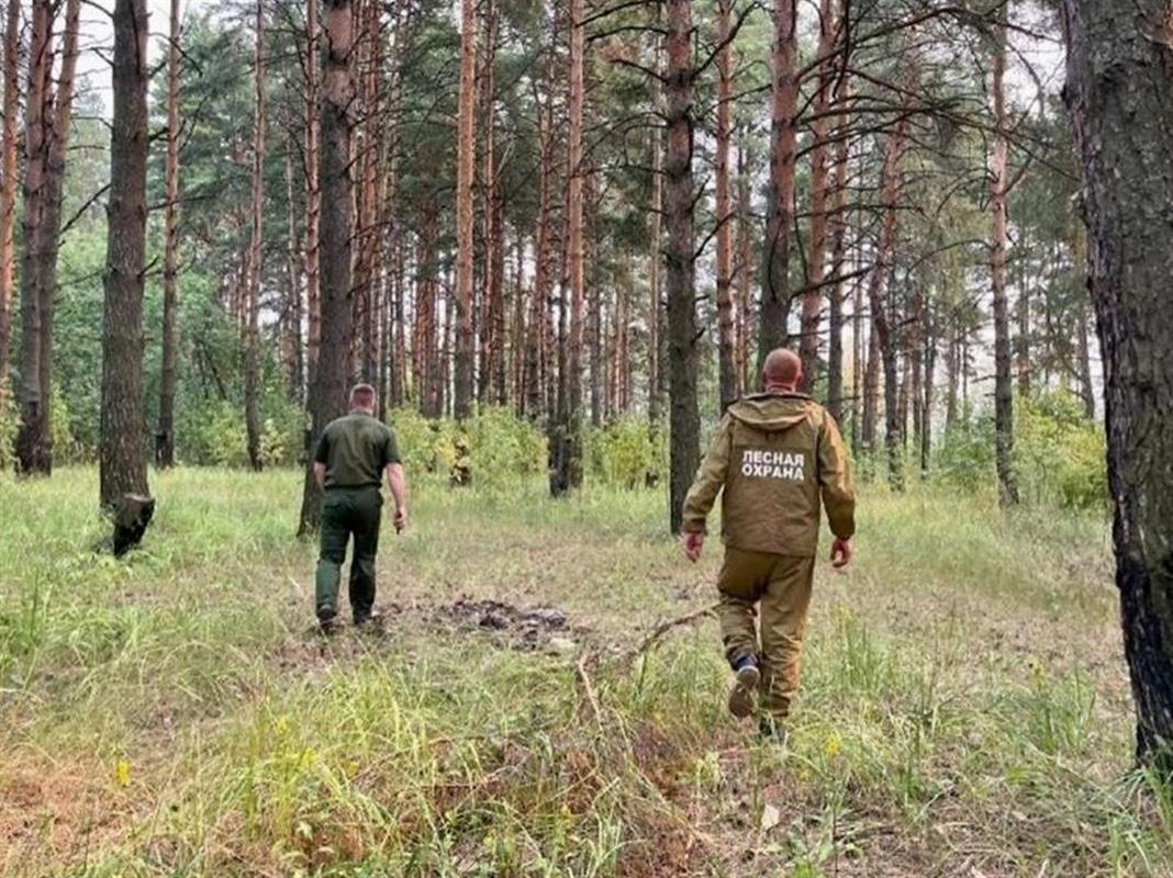 Костромичей предупредили о высокой пожароопасности в начале недели