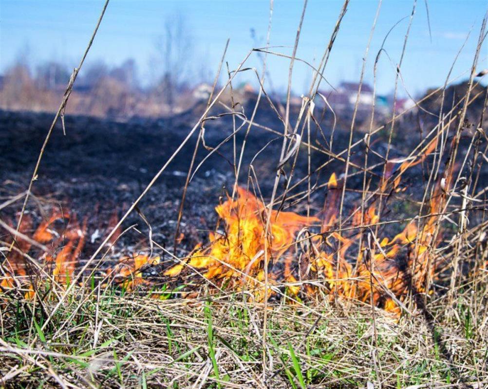 Жителей Костромской области предупредили о высоком классе пожарной опасности
