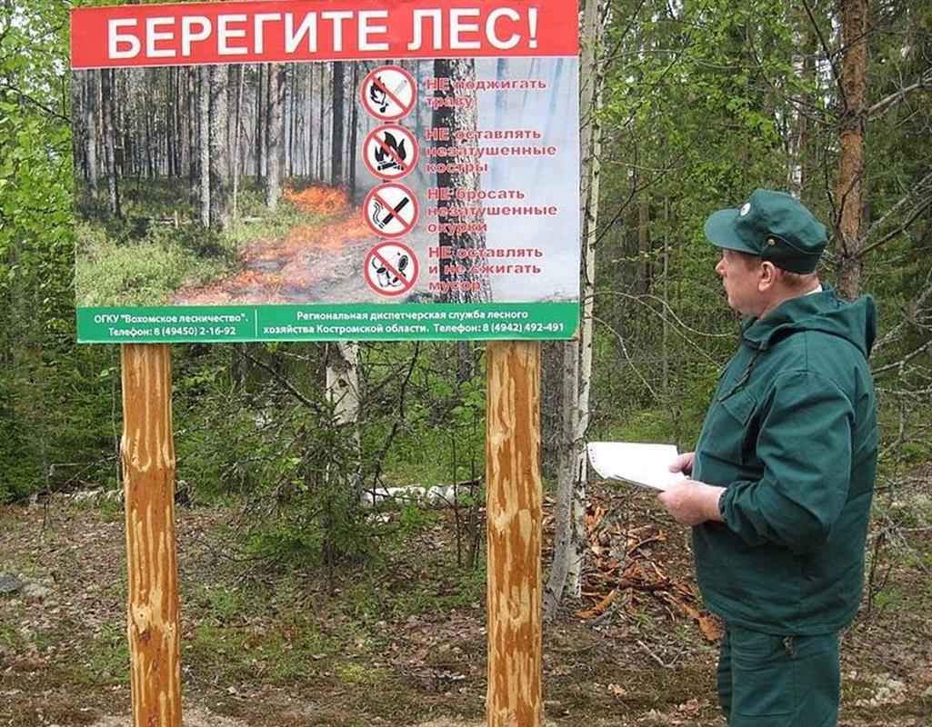 Повышенные меры пожарной безопасности будут действовать в Костромской области до 7 июля