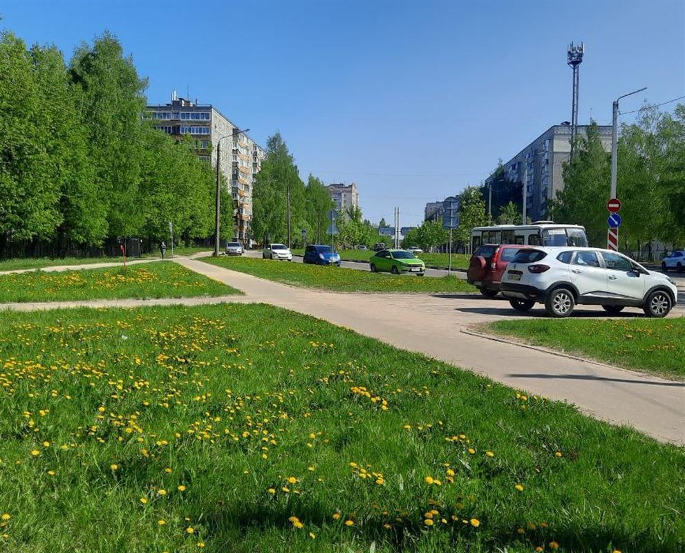 Жители Давыдовских микрорайонов голосуют за благоустройство универсального бульвара
