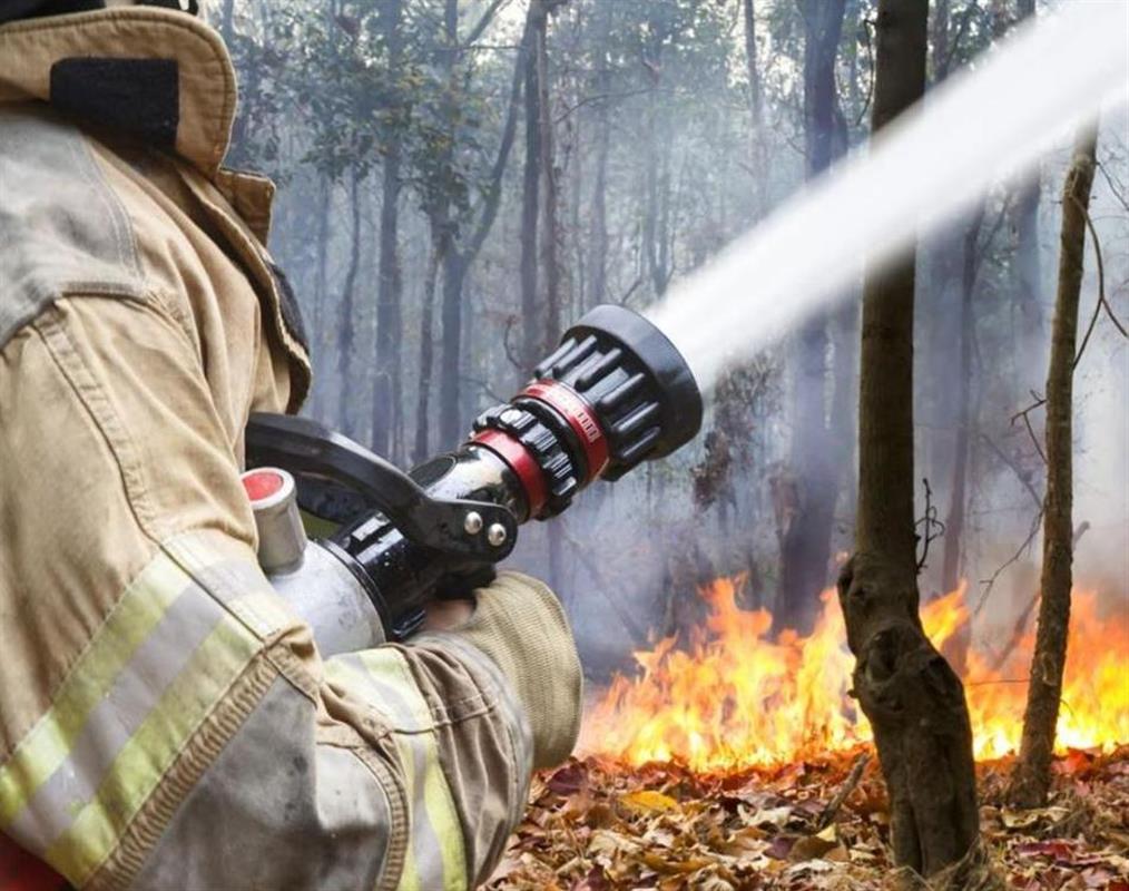 В костромских лесах сохраняется высокий класс пожарной опасности