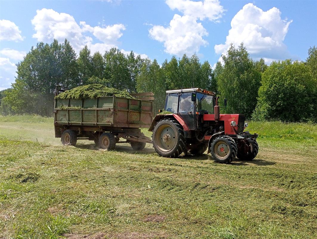 Костромские сельхозпредприятия завершают кормозаготовительную кампанию
