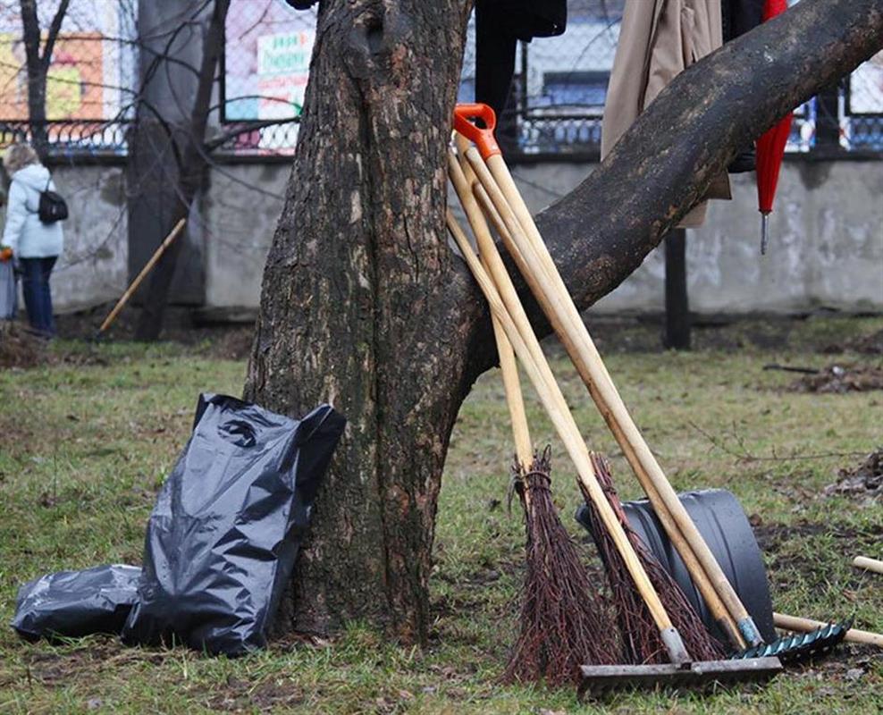 В Костроме готовятся к санитарной уборке города после зимы