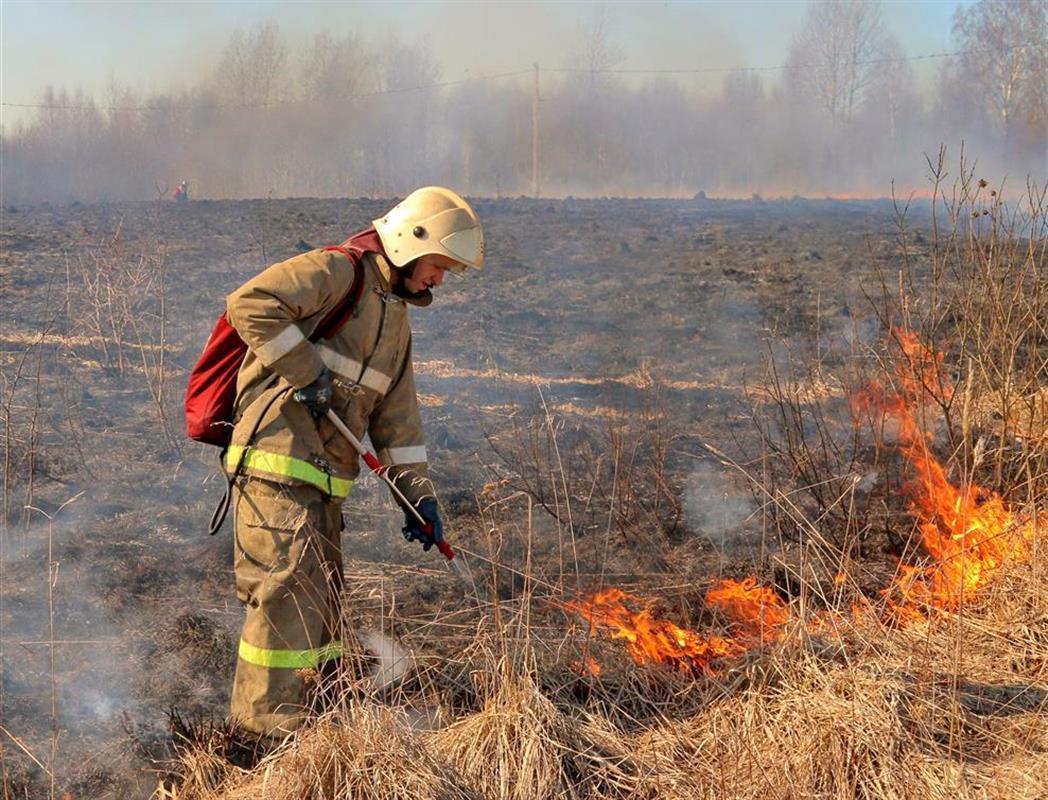 За неделю костромские пожарные 15 раз выезжали на палы сухой травы