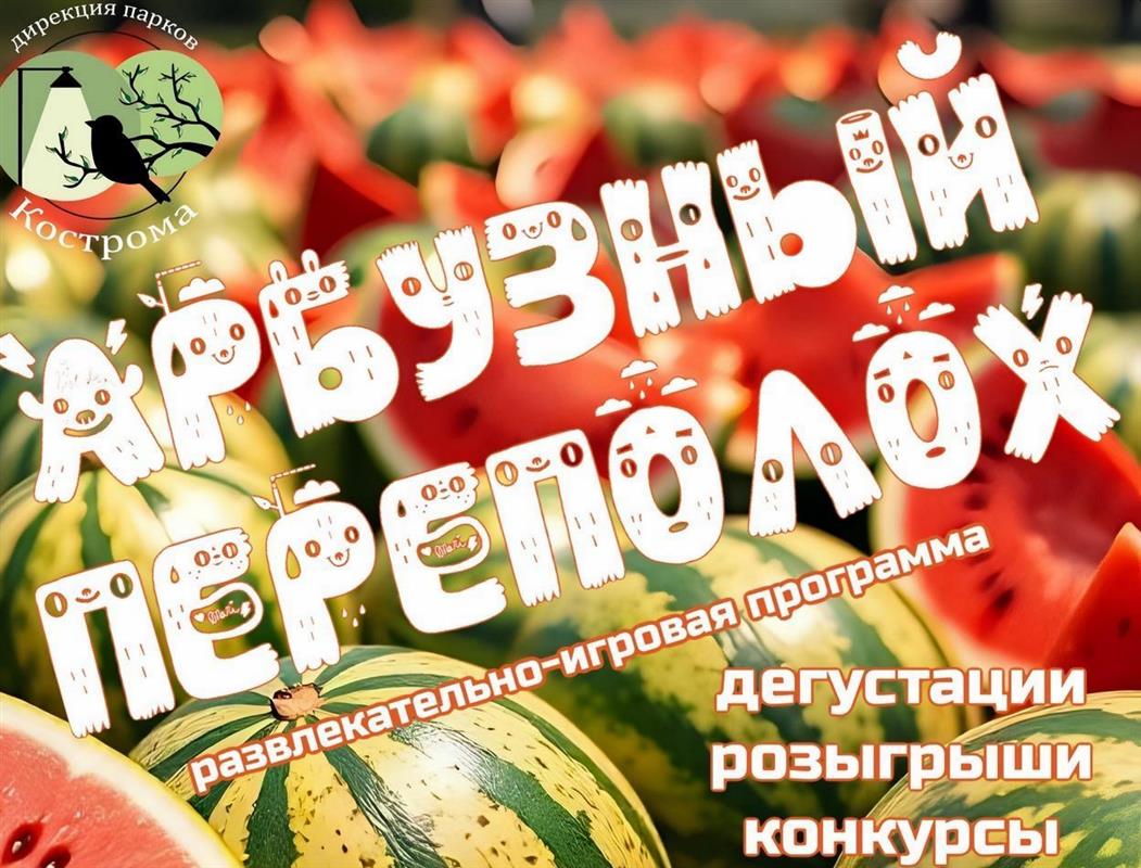 Зарядки, концерты, мастер-классы: программа выходного дня в парках Костромы
