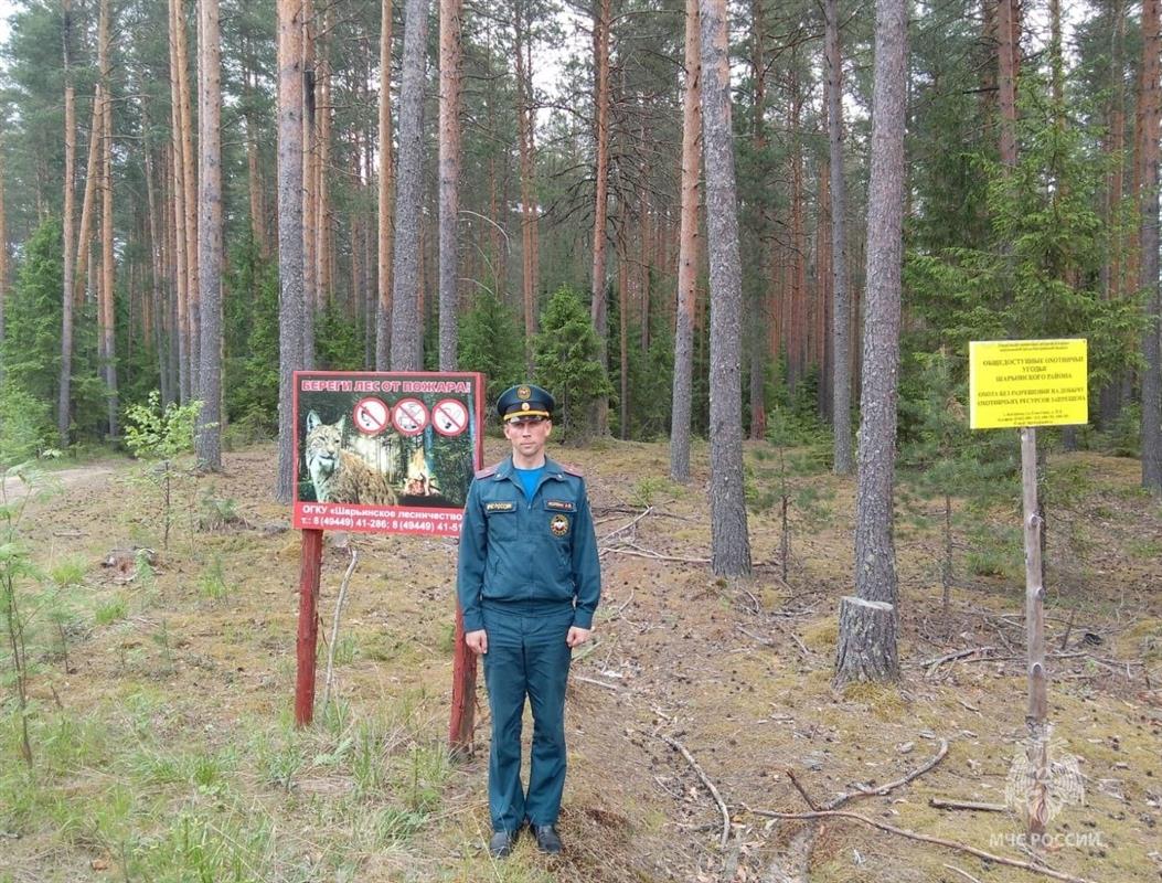 Оперативные группы ежедневно проводят патрулирование костромских лесов 