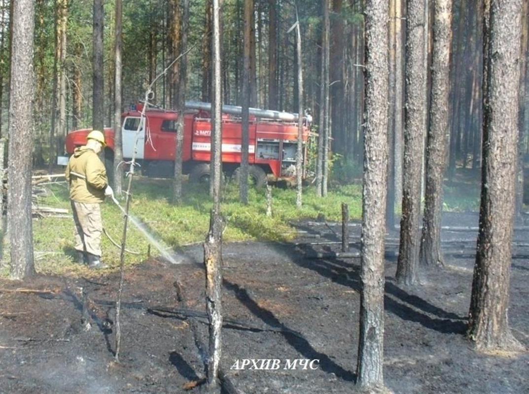 Виновника лесного пожара установили в Костромской области 
