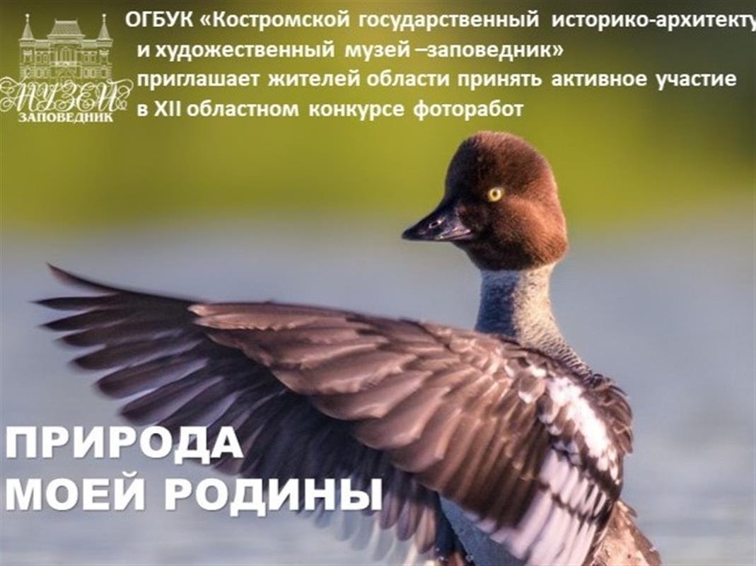 Костромичей приглашают к участию в конкурсе фоторабот «Природа моей Родины»
