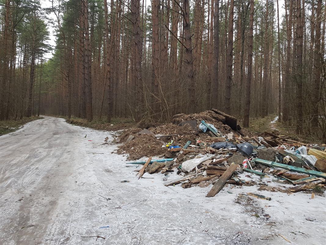В Костроме разыскивают нарушителей, устраивающих стихийные свалки