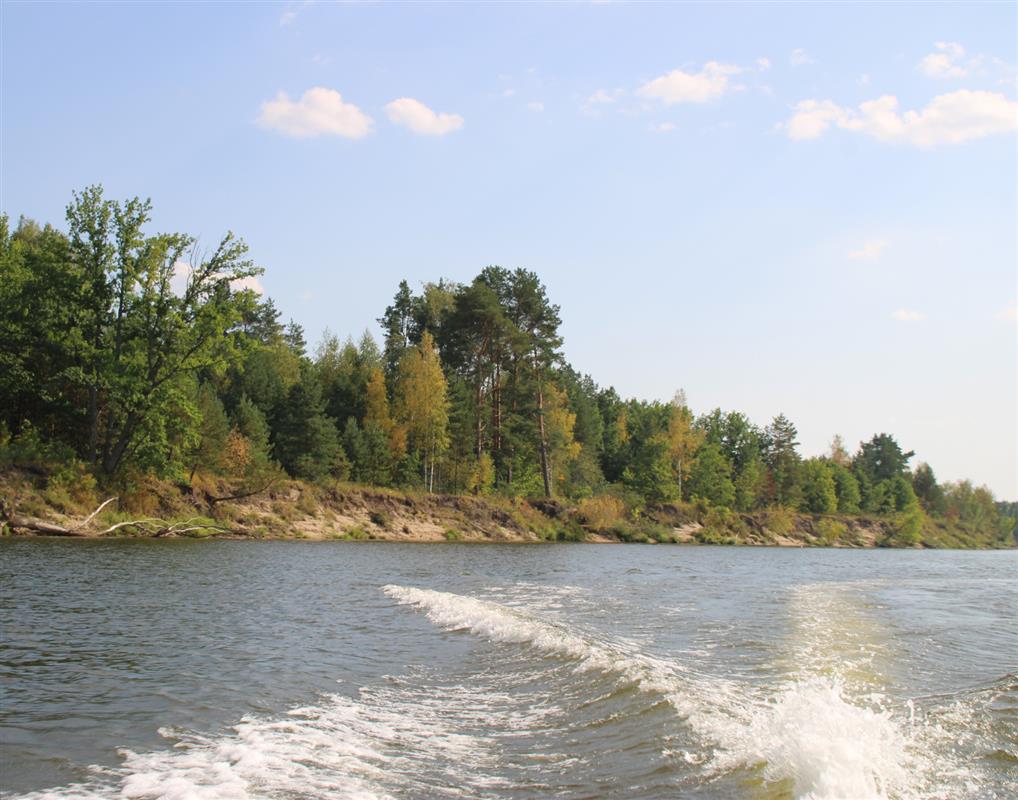 Из-за жары в реках Костромской области снизился уровень воды 