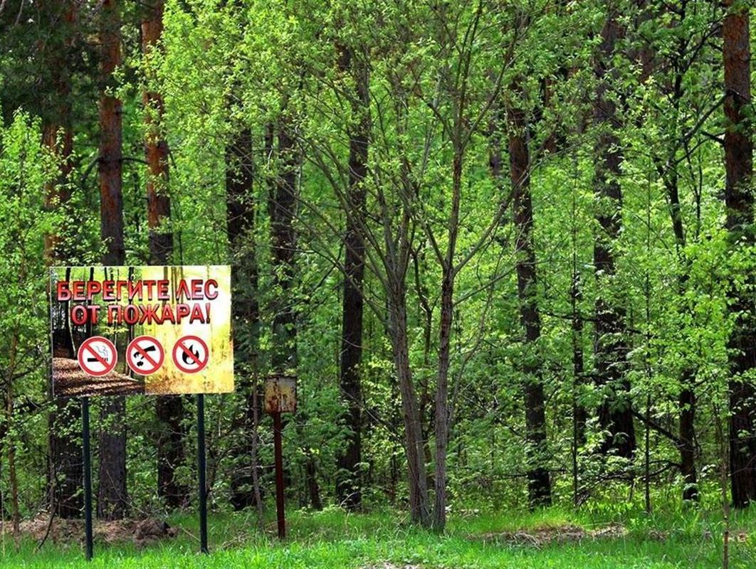 Жителей Костромской области предупредили о высоком классе пожарной опасности