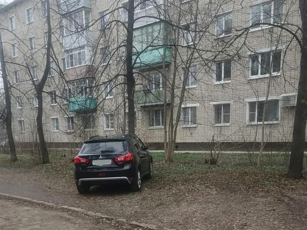 С помощью «Народного инспектора» костромичи наказывают разрушителей газонов во дворах