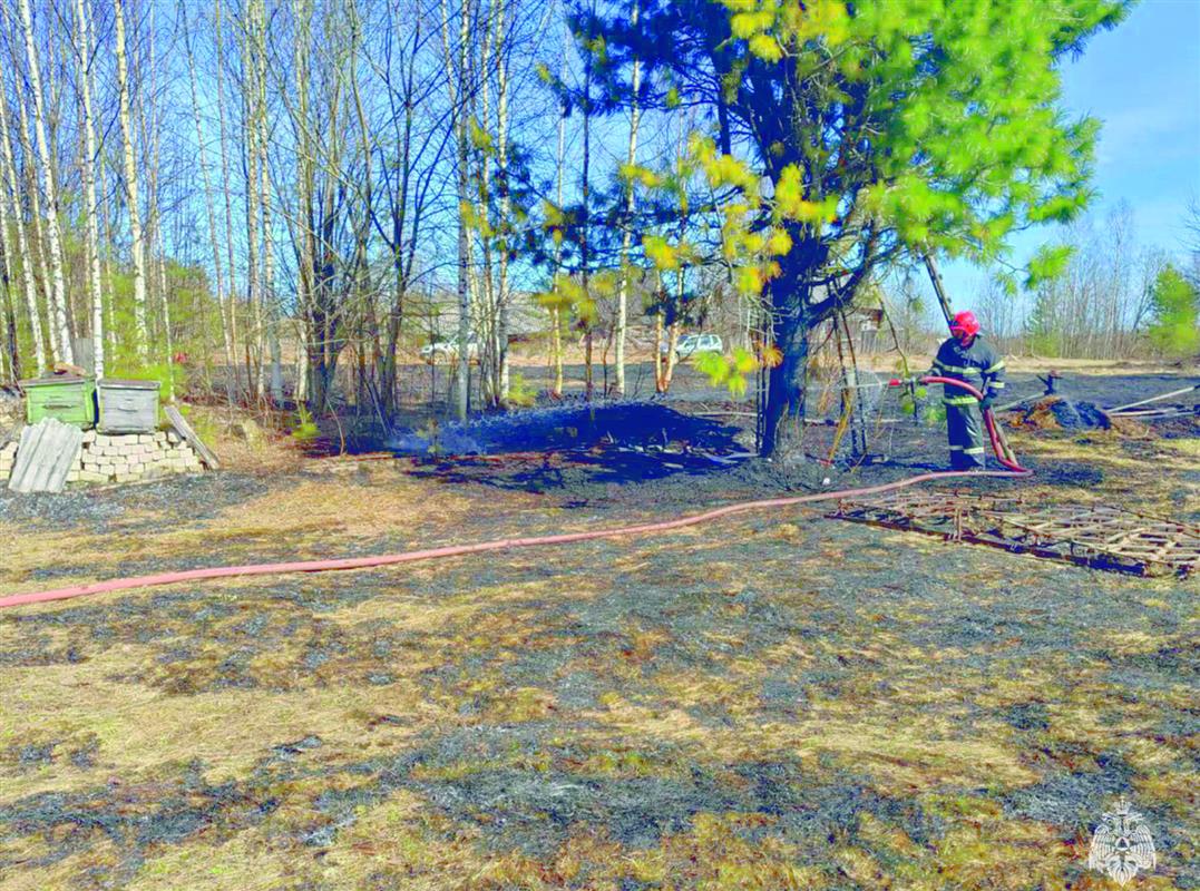 Житель Костромской области получил ожоги из-за пала травы
