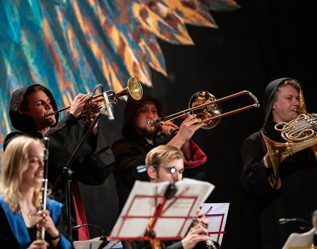 Оркестр «Sonorus» приглашает костромичей в волшебный мир музыки и Гарри Поттера