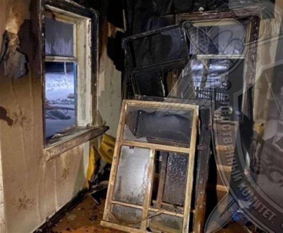 В костромской деревне при пожаре в частном доме погиб мужчина 