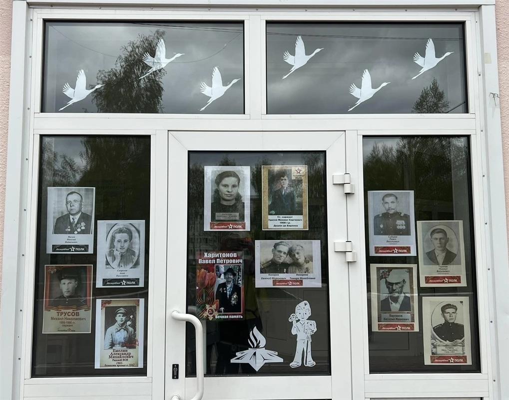 Костромичи участвуют в патриотической акции «Окна Победы»