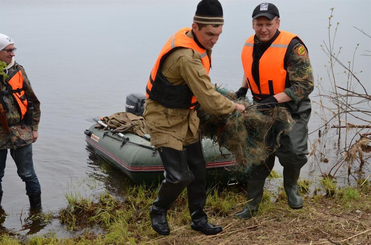 Костромичи очистили от мусора километры берегов рек и озер