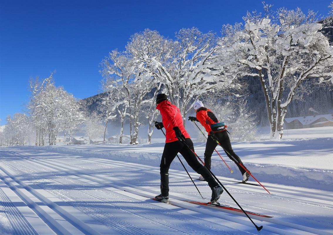 Костромичей приглашают на открытую лыжную тренировку 
