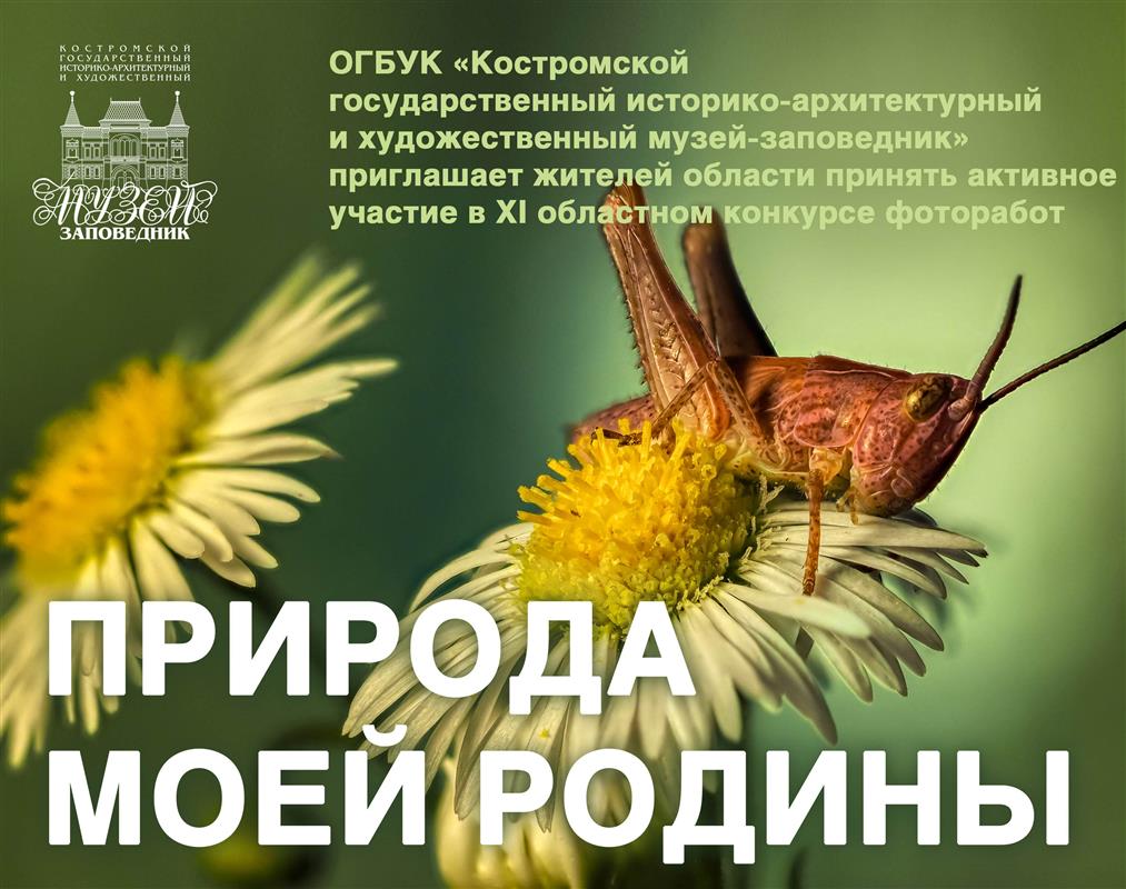 В Костромской области объявлен XI конкурс фоторабот «Природа моей Родины»