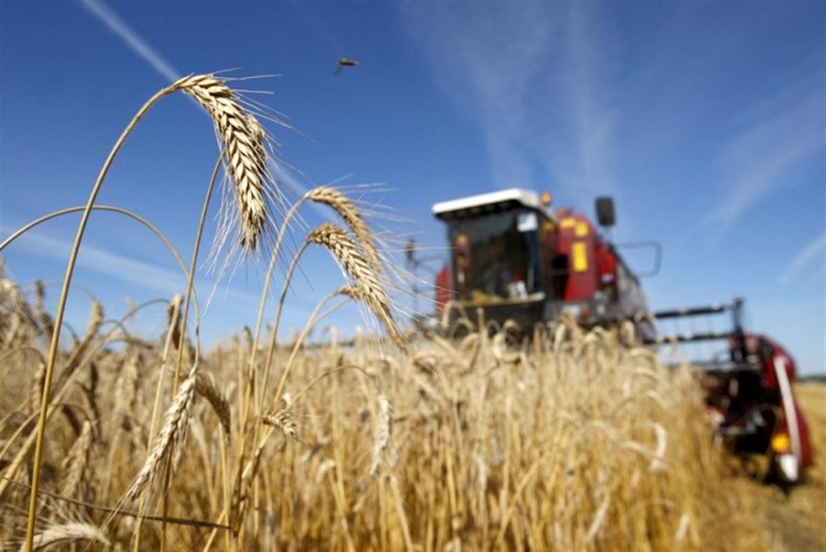 В Костромской области издадут каталог сельхозтоваропроизводителей