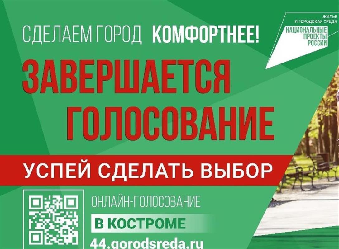 До завершения голосования за объекты благоустройства в Костроме осталось три дня