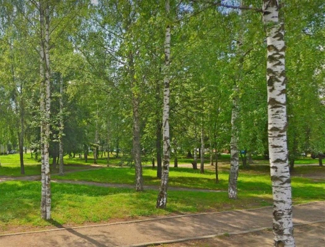 Костромичи помогут выбрать название для сквера на улице Никитской
