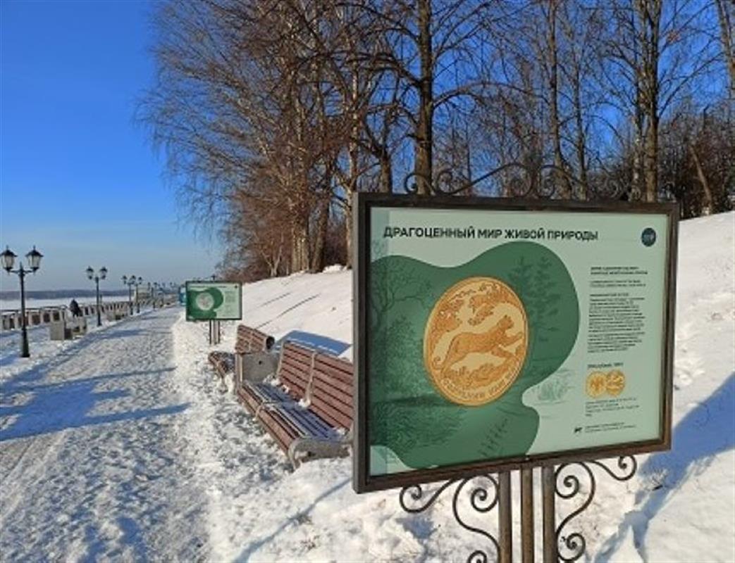 Редкие виды животных костромичи увидят на фотовыставке под открытым небом
