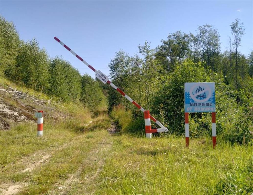 В Костромской области установлен особый противопожарный режим